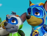 Paw Patrol, la Pat'Patrouille