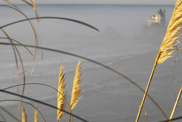 Le brouillard se lève sur l'océan