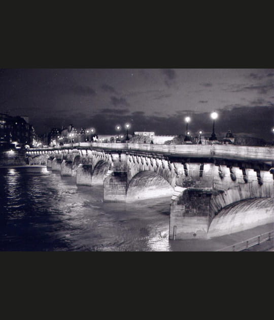 Le Pont Neuf
