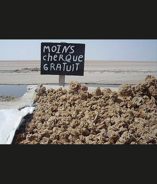 Vraiment pas cher alors&nbsp;!