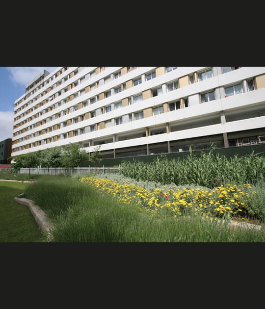 Au pied des immeubles