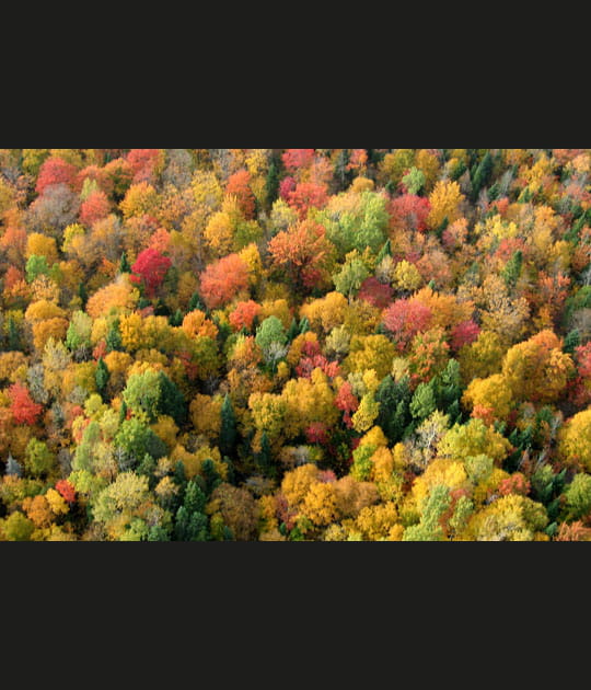 Couleurs d'automne