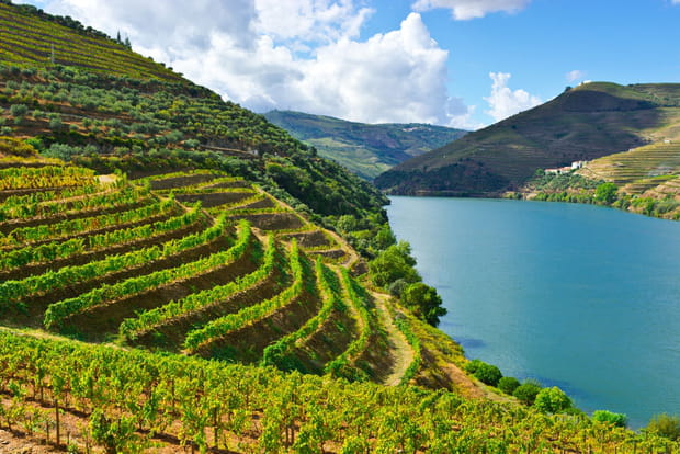 Les vignobles du Haut-Douro