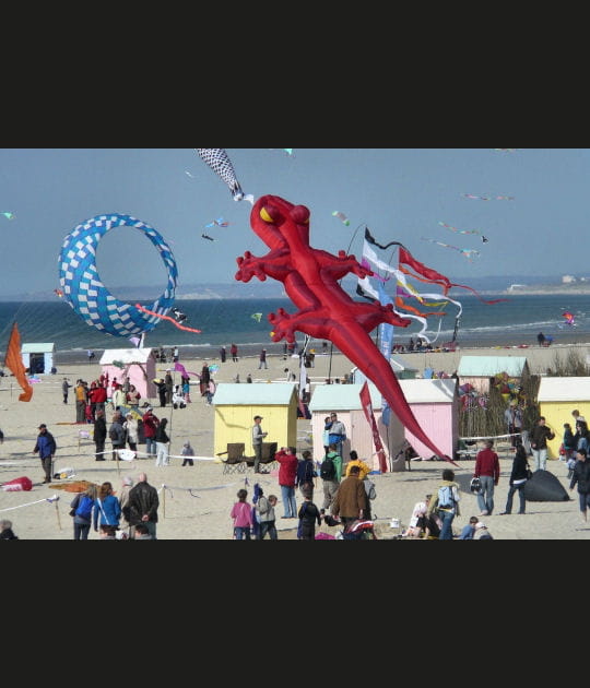 Le l&eacute;zard rouge