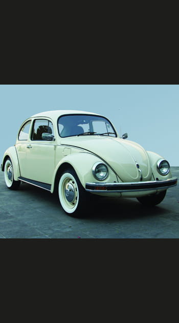 La Volkswagen Coccinelle de Ted Bundy