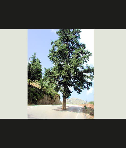 A droite ou &agrave; gauche&nbsp;?