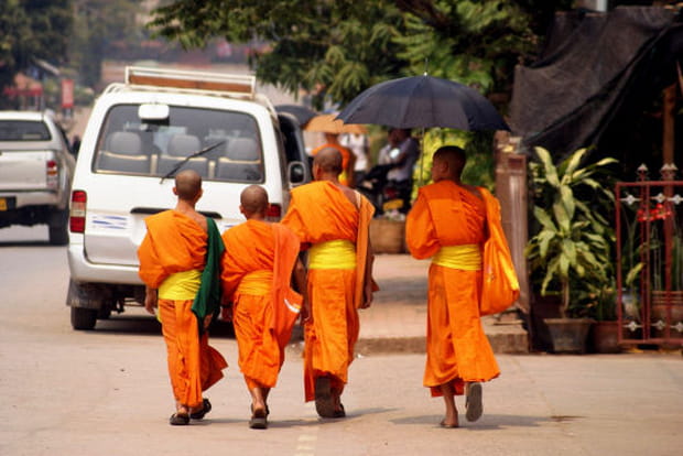 Les bonzés font de la marche