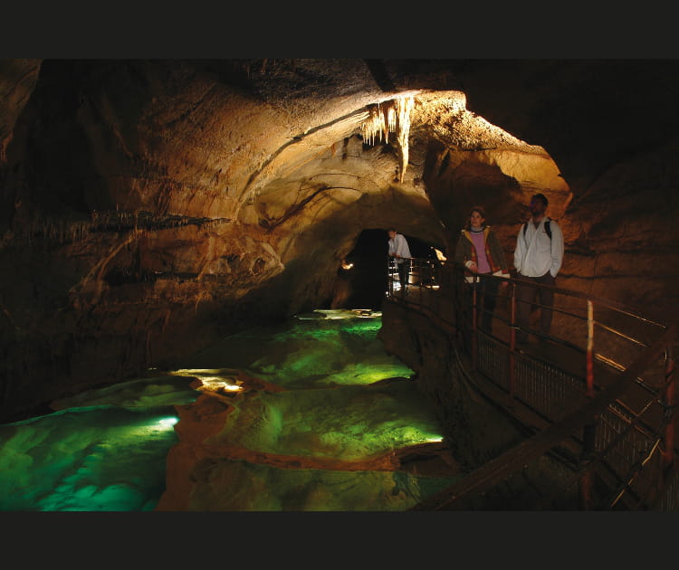 Grotte de la Cocali&egrave;re, Gard