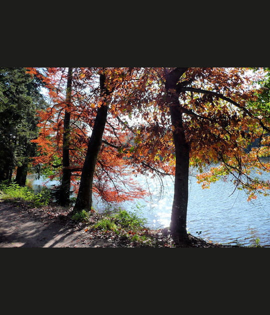 L'automne en Bourgogne