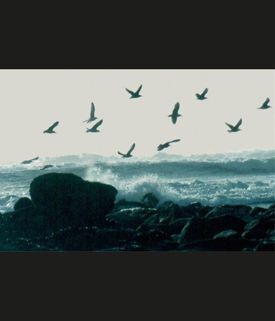 Pointe de la Torche