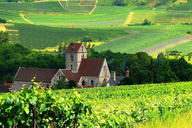 Le vignoble champenois