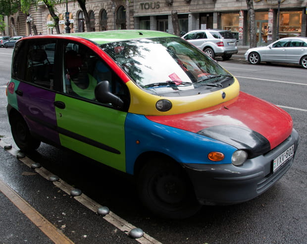 Multipla multicolore
