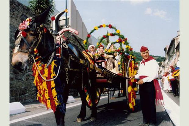 Fête des mulets