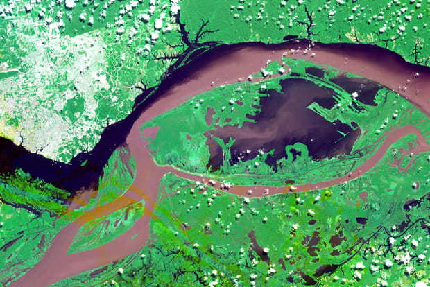 Manaus au coeur de la jungle