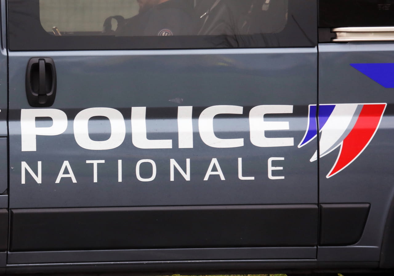 Auxerre : un chien dévore le visage de son maître, "ça peut paraître très choquant, mais ça arrive régulièrement" dans ces circonstances