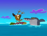 Zig & Sharko : Les joies de la gym