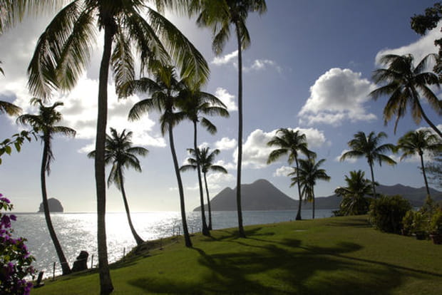 La Martinique, un havre au coeur des Caraïbes