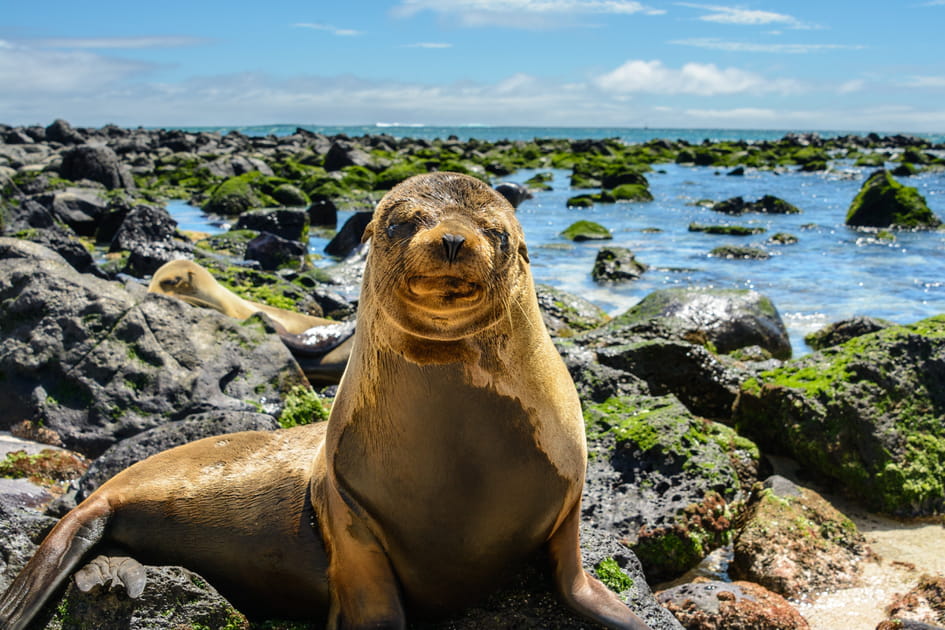 Les &icirc;les Gal&aacute;pagos, en &Eacute;quateur