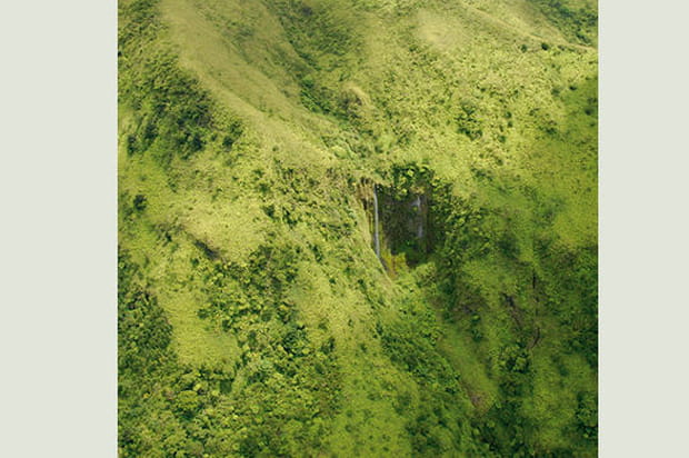 Au coeur de la forêt