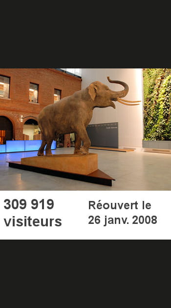 21- Le mus&eacute;um d'Histoire naturelle de Toulouse