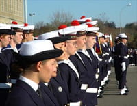 A l'école des mousses