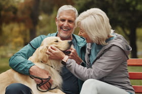Voici ce que signifie de parler aux animaux de compagnie comme s'ils étaient humains, selon la psychologie