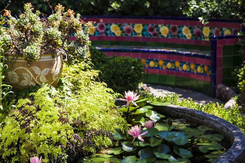 Le jardin Fontana Rosa