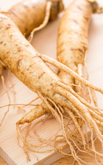 Le ginseng