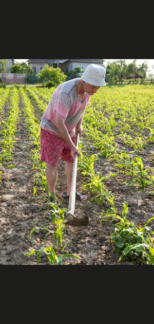 Biner le potager avant de l'arroser