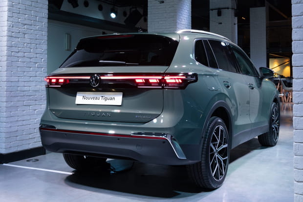 Des courbes harmonieuses