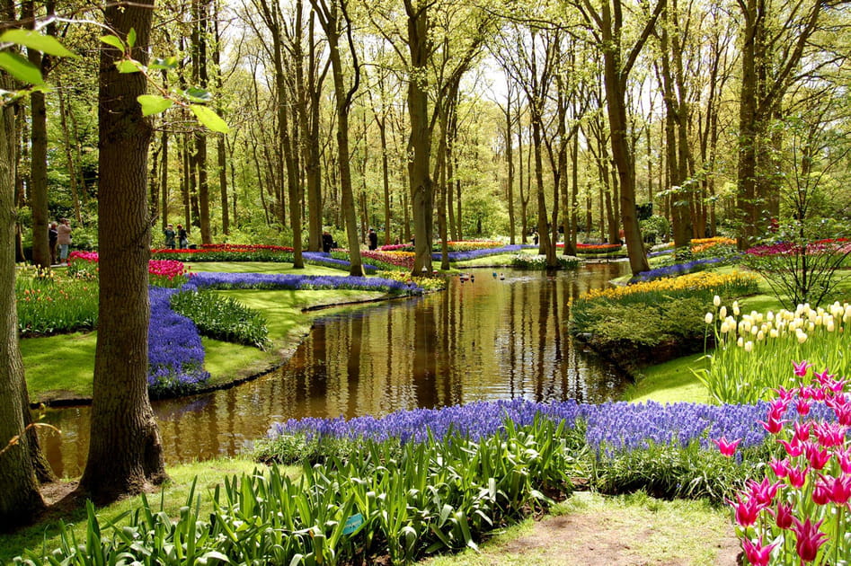 Keukenhof, Pays Bas