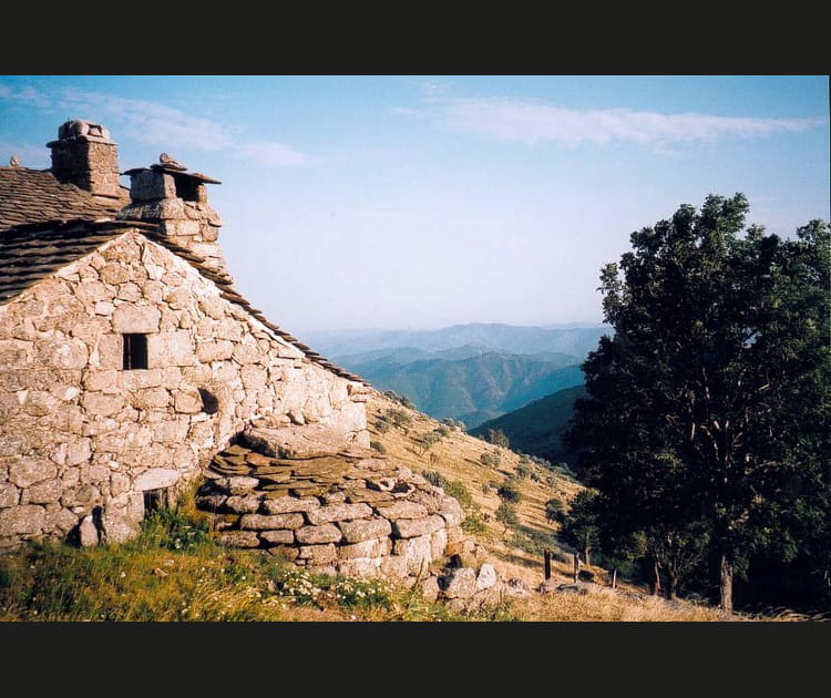 La maison c&eacute;v&eacute;nole