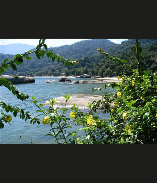 Belles &icirc;les en mer