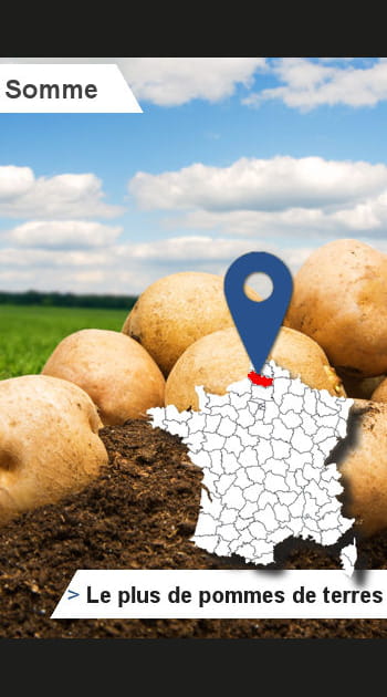 80 &ndash; Somme&nbsp;: le&nbsp;plus de&nbsp;pommes de&nbsp;terre