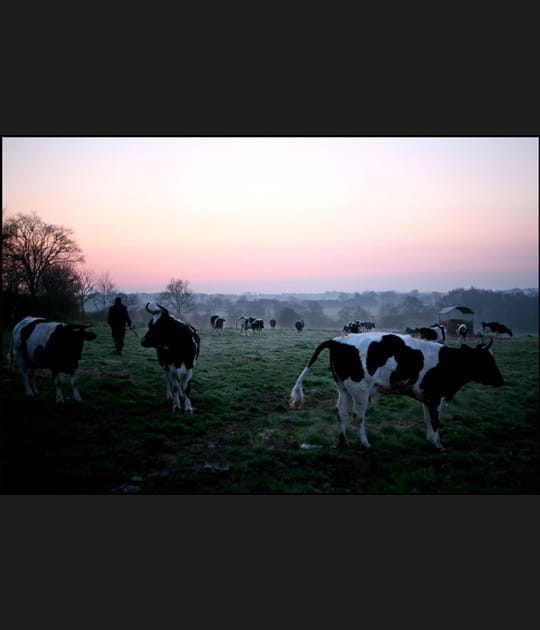 &quot;Profondeur de champ(s). Vues ext&eacute;rieures du Morbihan int&eacute;rieur&quot;
