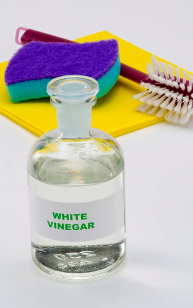 Lutter contre les pucerons avec du vinaigre blanc