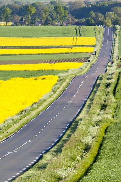 La Seine-et-Marne, seul d&eacute;partement d'&Icirc;le-de-France en faveur du 90&nbsp;km/h