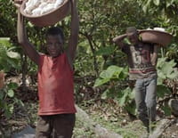 La face cachée du cacao