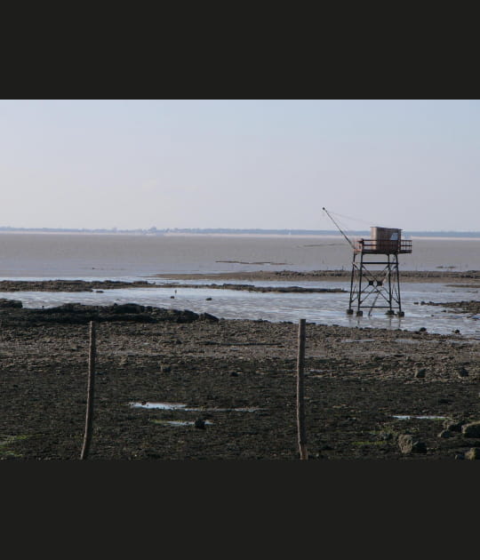 Carrelet &agrave; mar&eacute;e basse