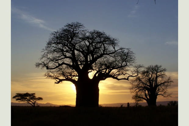 La Tanzanie vue par les lecteurs
