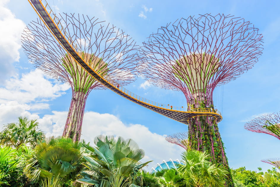 L'OCBC Skyway des Gardens by the Bay