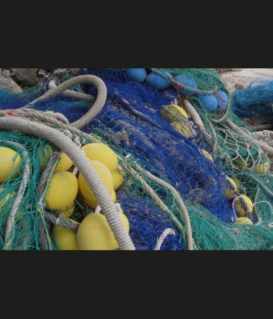 Pos&eacute;s sur le port