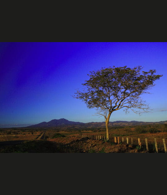 La route de Ca&ntilde;as