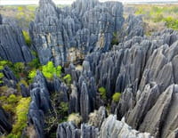 Le labyrinthe secret de Namoroka