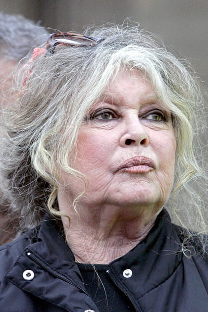 La d&eacute;fense des animaux comme reconversion pour Brigitte Bardot