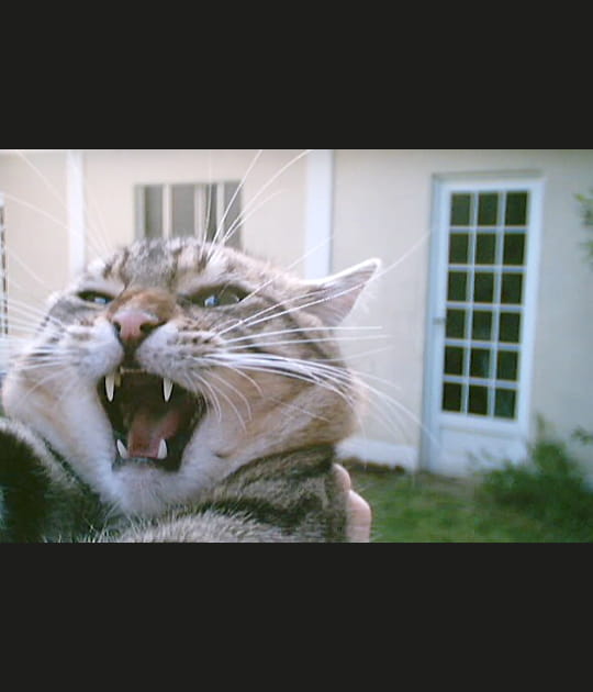 J'aime pas les photos&nbsp;!!!