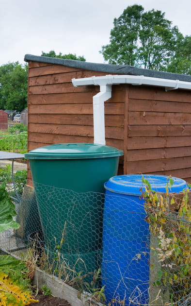 R&eacute;cup&eacute;rer l'eau de pluie pour arroser les plantes permet de faire des &eacute;conomies