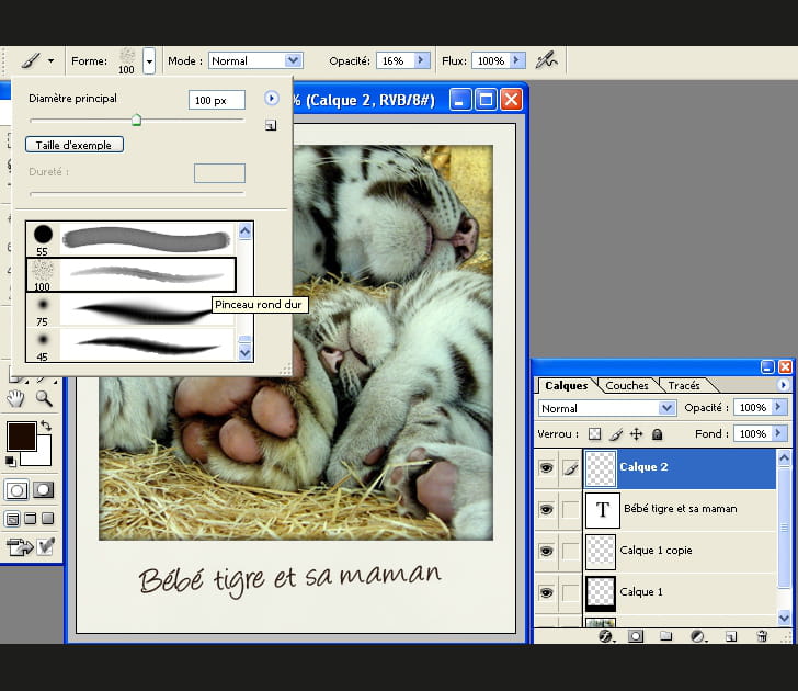 Parfaire le rendu Polaroid