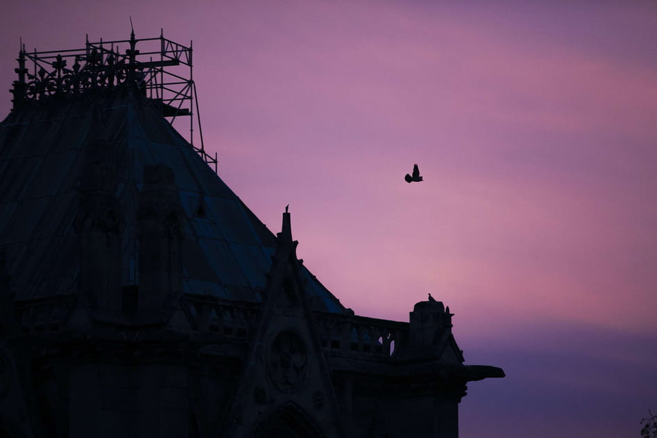 Les photos de Notre-Dame apr&egrave;s les flammes