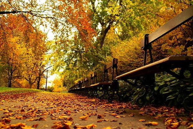 Banc d'automne à Clermont-Ferrand